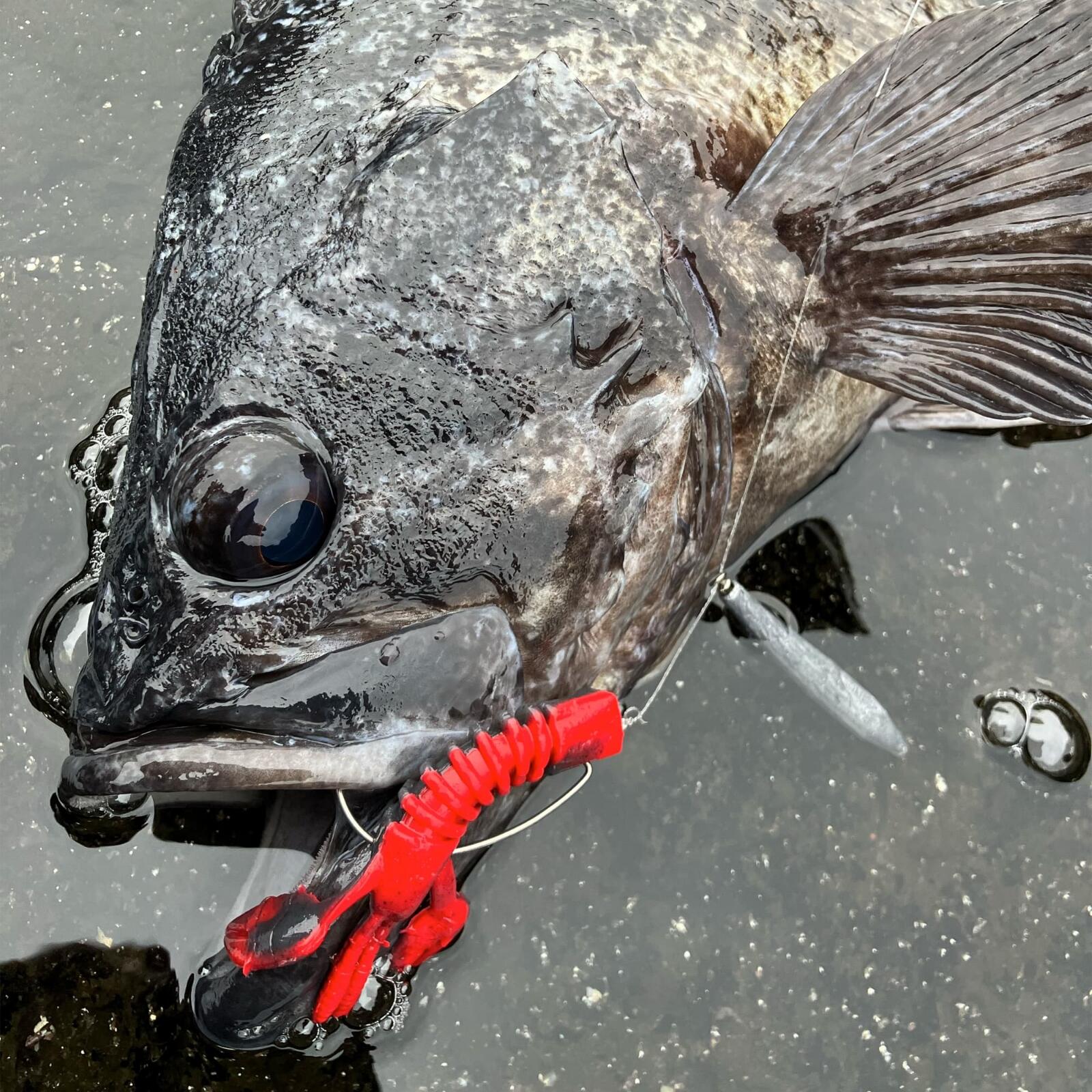 パルスクロー3インチ