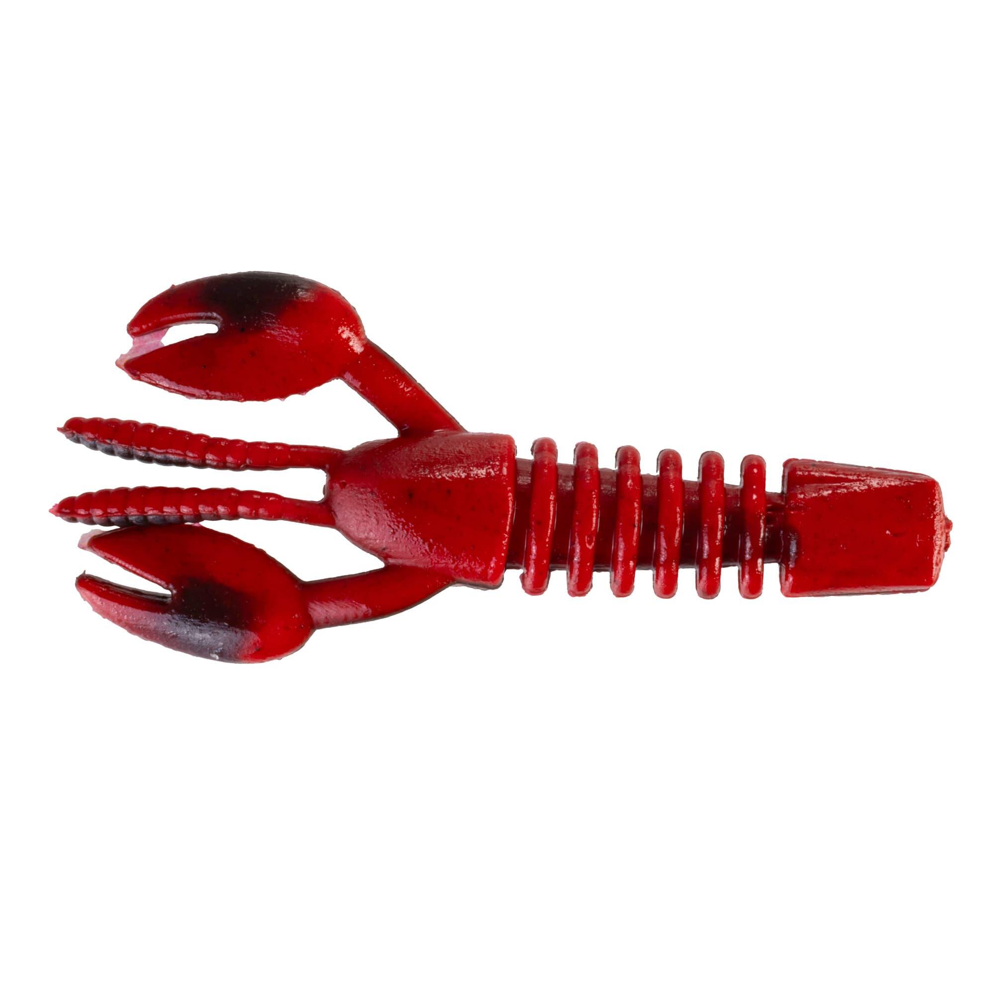 BLRDB(ブラックレッドベリー)裏