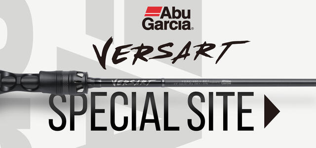 Versart_kv_sp_4.jpg
