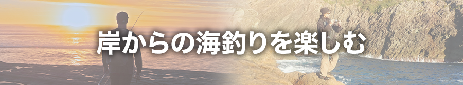 岸からの海釣りを楽しむ