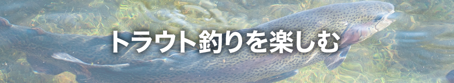 トラウト釣りを楽しむ